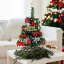 Arvore de Natal 60cm Ganhe Enfeites e Pisca-Pisca DEC17 - Arvore de Natal 60cm Ganhe Enfeites e Pisca-Pisca Casa Tech 