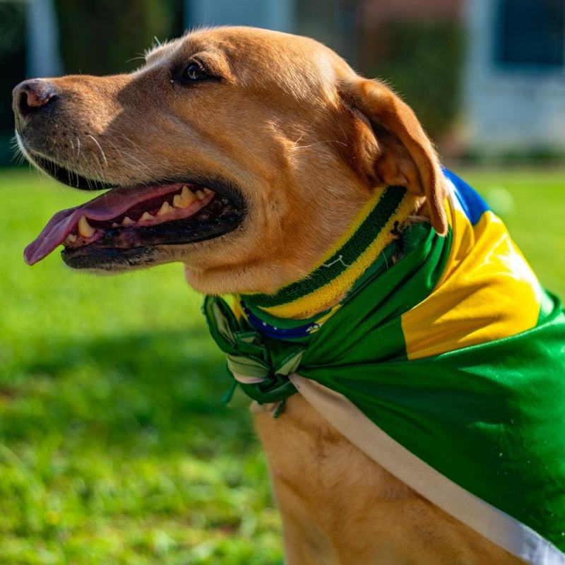 Bandeira do Brasil Oficial - Grande 0 Casa Tech Loja 