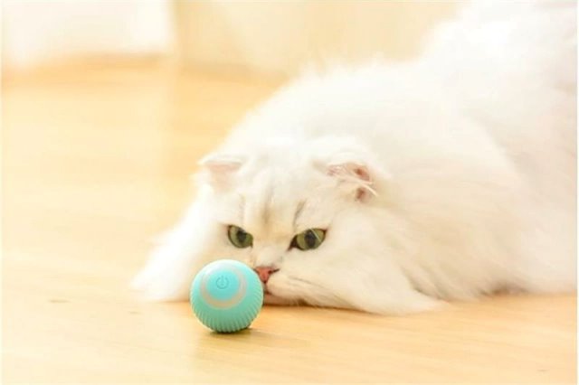 Bola Elétrica Interativa para Gatos CAT02 - Bola Elétrica Interativa para Gatos Casa Tech 