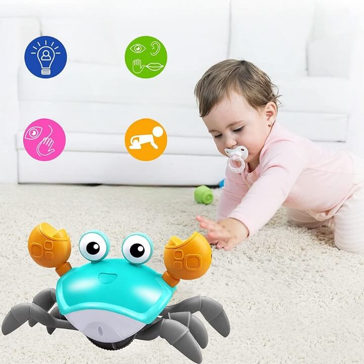 Caranguejo Criativo com Sensor de Obstáculos, Música e Luzes Brinquedo Educativo KID5 - Caranguejo Criativo com Sensor de Obstáculos, Música e Luzes Brinquedo Educativo Casa Tech Loja 