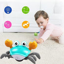 Caranguejo Criativo com Sensor de Obstáculos, Música e Luzes Brinquedo Educativo KID5 - Caranguejo Criativo com Sensor de Obstáculos, Música e Luzes Brinquedo Educativo Casa Tech Loja 