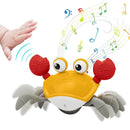 Caranguejo Criativo com Sensor de Obstáculos, Música e Luzes Brinquedo Educativo KID5 - Caranguejo Criativo com Sensor de Obstáculos, Música e Luzes Brinquedo Educativo Casa Tech Loja Laranja 