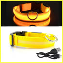 Coleira com Neon para Cães e Gatos DOG08 - Coleira com Neon para Cães e Gatos Casa Tech PP Amarelo 