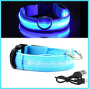 Coleira com Neon para Cães e Gatos DOG08 - Coleira com Neon para Cães e Gatos Casa Tech PP Azul 