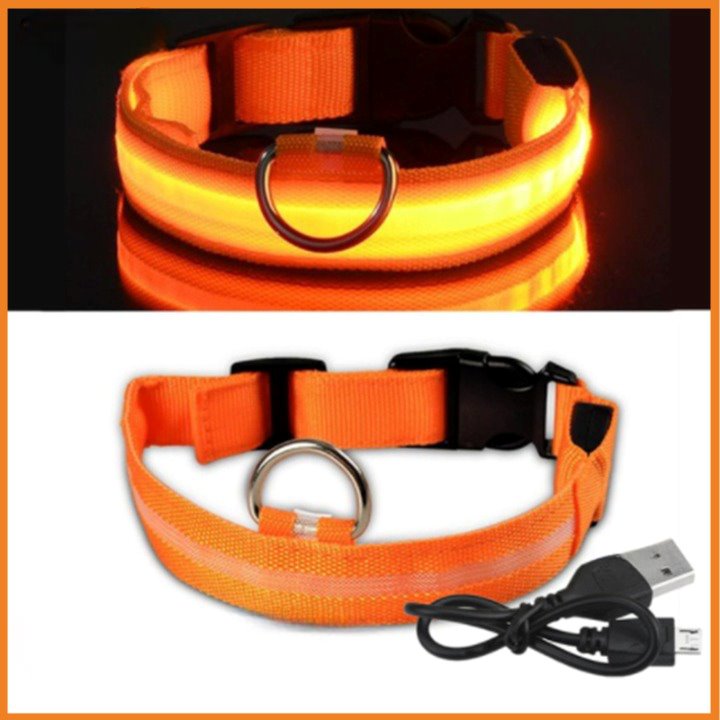 Coleira com Neon para Cães e Gatos DOG08 - Coleira com Neon para Cães e Gatos Casa Tech PP Laranja 