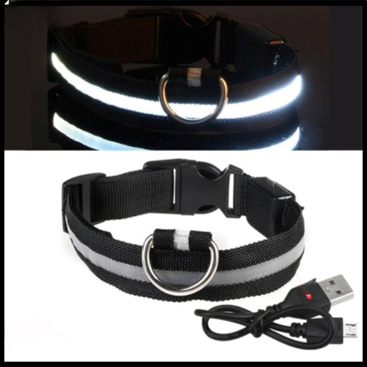 Coleira com Neon para Cães e Gatos DOG08 - Coleira com Neon para Cães e Gatos Casa Tech PP Preto 