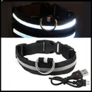 Coleira com Neon para Cães e Gatos DOG08 - Coleira com Neon para Cães e Gatos Casa Tech PP Preto 