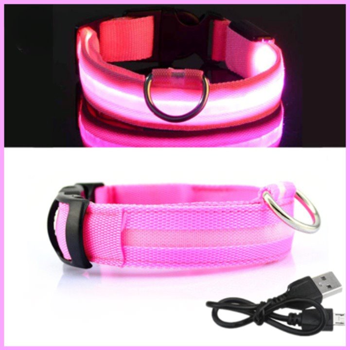 Coleira com Neon para Cães e Gatos DOG08 - Coleira com Neon para Cães e Gatos Casa Tech PP Rosa 