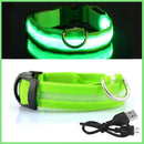 Coleira com Neon para Cães e Gatos DOG08 - Coleira com Neon para Cães e Gatos Casa Tech PP Verde 