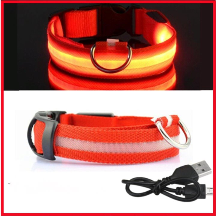 Coleira com Neon para Cães e Gatos DOG08 - Coleira com Neon para Cães e Gatos Casa Tech PP Vermelho 