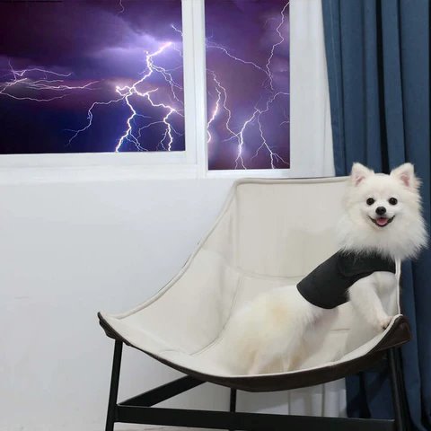 Colete para reduzir a ansiedade e acalmar gatos e cachorros DOG05- Colete para reduzir a ansiedade e acalmar gatos e cachorros Casa Tech Loja 