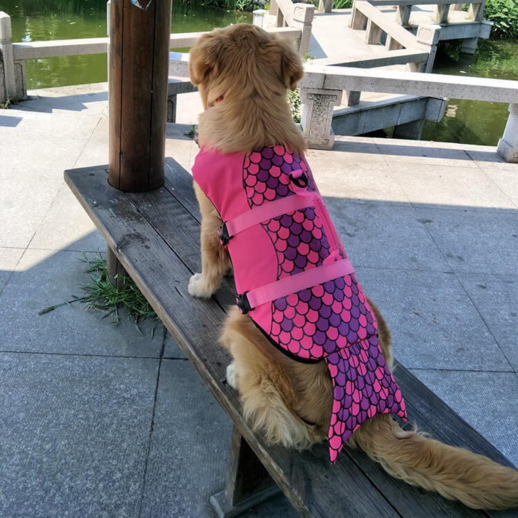 Colete Salva-Vidas Natação para Cães PET6 - Colete Salva-Vidas Natação para Cães Casa Tech Loja 