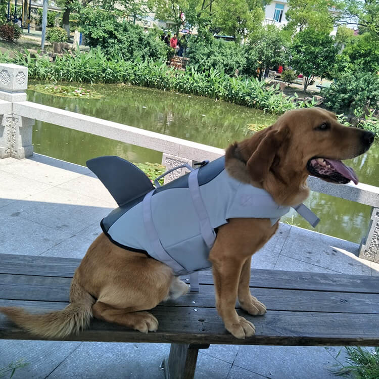 Colete Salva-Vidas Natação para Cães PET6 - Colete Salva-Vidas Natação para Cães Casa Tech Loja 