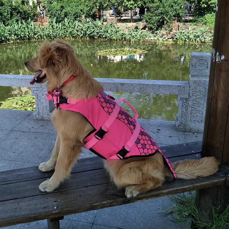 Colete Salva-Vidas Natação para Cães PET6 - Colete Salva-Vidas Natação para Cães Casa Tech Loja 