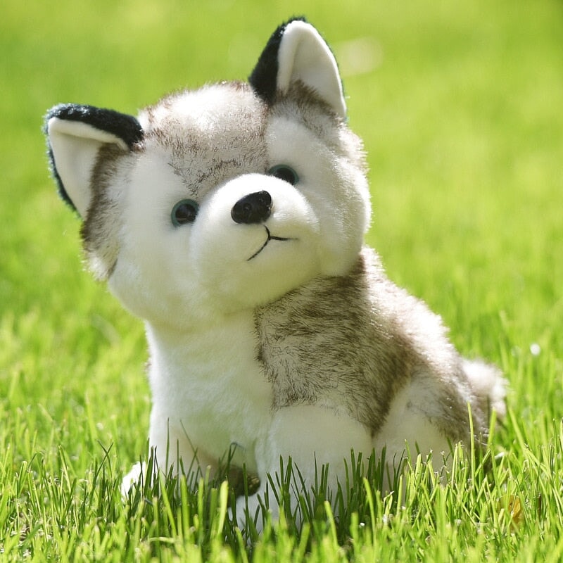 Husky de Pelúcia Realista BRI15 - Husky de Pelúcia Realista Casa Tech 