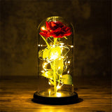 Luminária Rosa Encantada