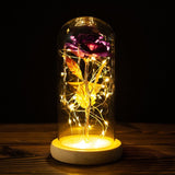 Luminária Rosa Encantada