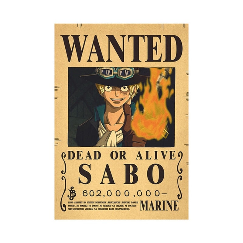 Poster Wanted One Piece BRI23 - Poster Wanted One Piece Casa Tech 14 
