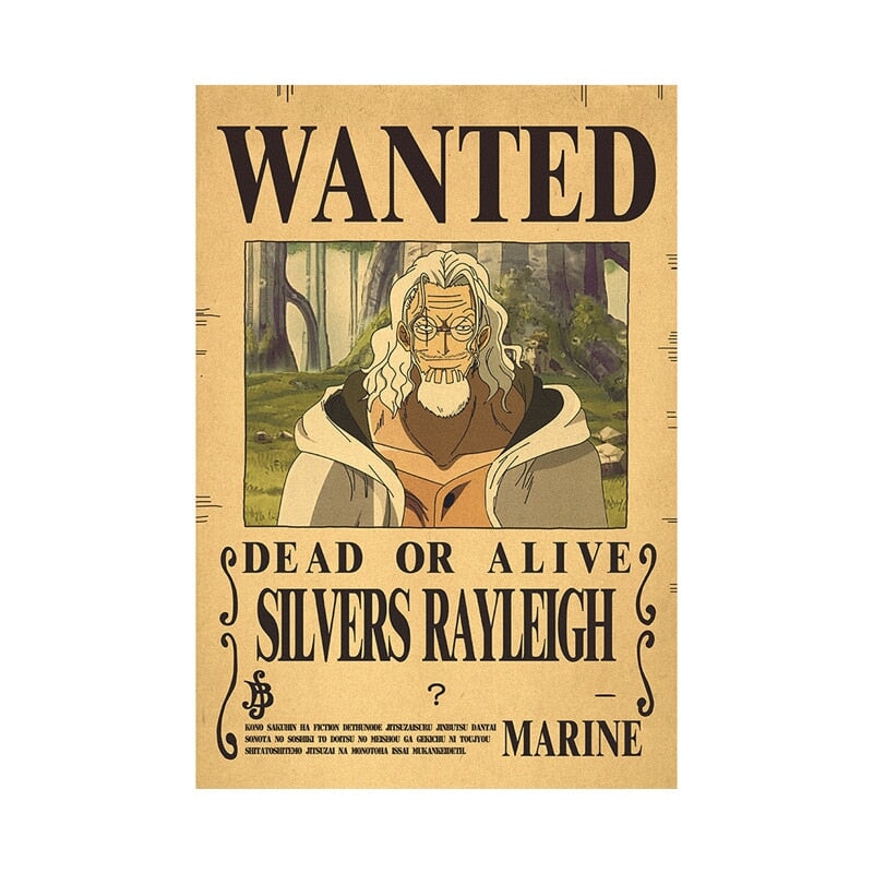 Poster Wanted One Piece BRI23 - Poster Wanted One Piece Casa Tech 19 