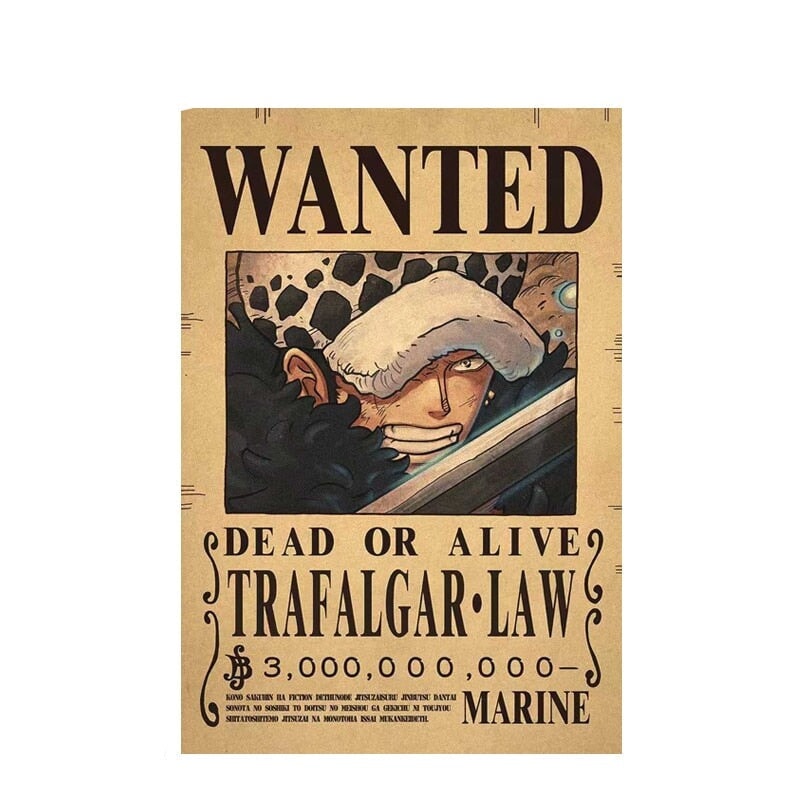 Poster Wanted One Piece BRI23 - Poster Wanted One Piece Casa Tech 2 