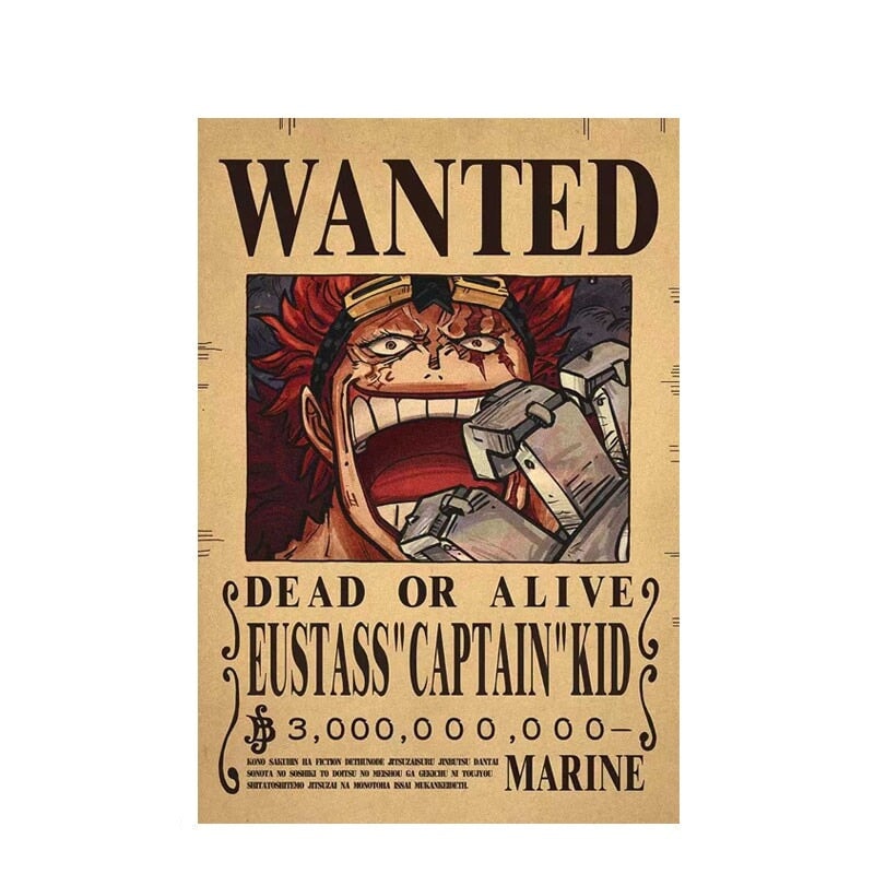 Poster Wanted One Piece BRI23 - Poster Wanted One Piece Casa Tech 3 