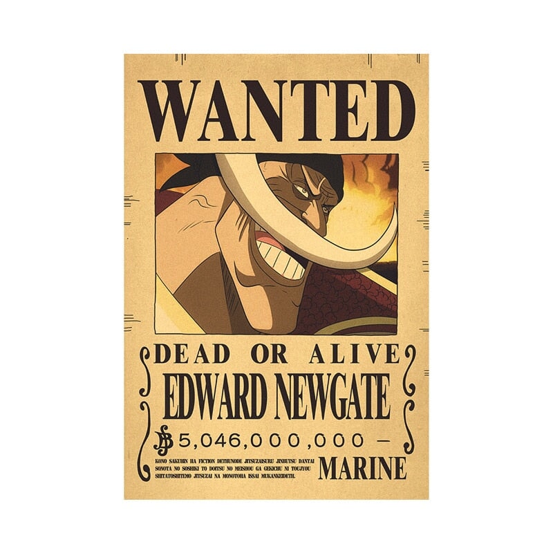 Poster Wanted One Piece BRI23 - Poster Wanted One Piece Casa Tech 