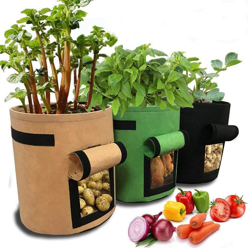 Saco de Plantio Reciclável Biodegradável G1P31 - Saco de Plantio Casa Tech Loja 